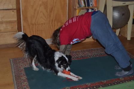 Alys and Ryder do the down dog